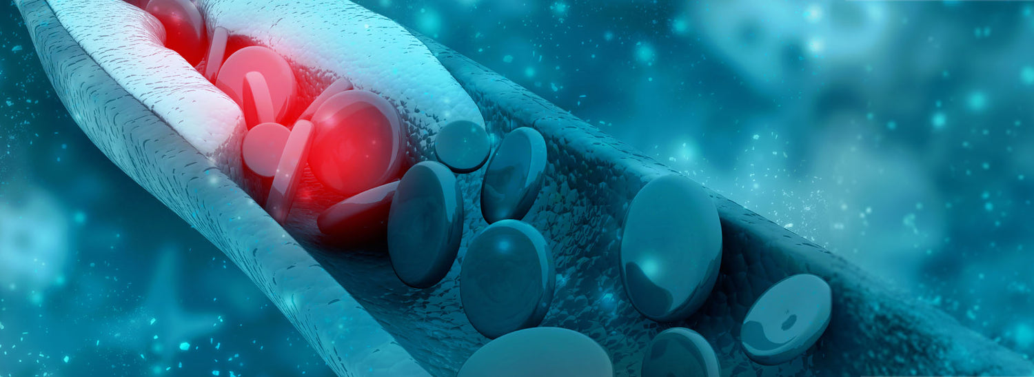 CHOLESTERIN natürlich senken