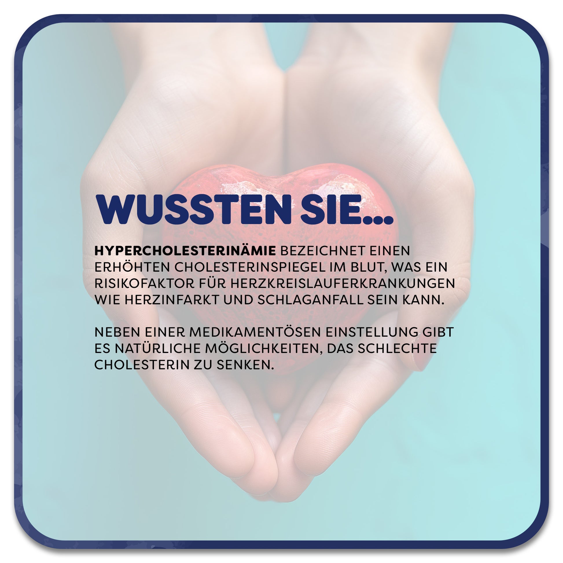 Information zu Hypercholesterinämie