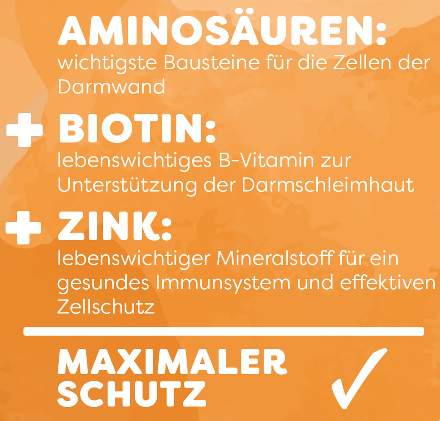 Erläuterung von Aminosäuren mit Biotin und Zink für maximalen Schutz